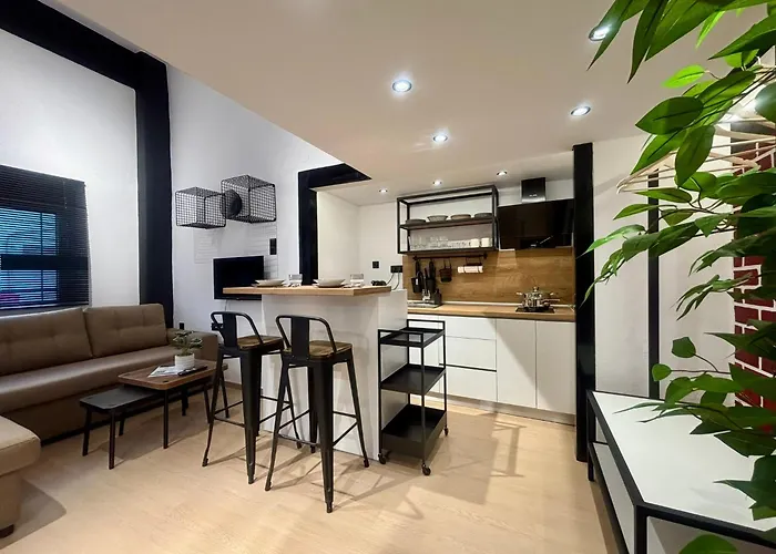 Astera Luxury Loft By Horizon Homes